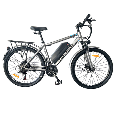 FP-EB25J01 (26" Electric Mountain Bike)