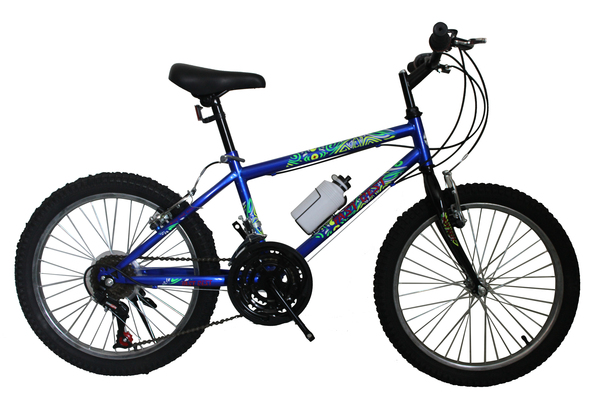 FP-MTB2005(20" Mountain Bicycle)