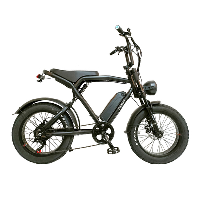 FP-EB2149 ( Long seat 48V 500W Electric fat Bike)