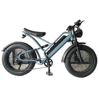 FP-EB2156 ( 500W Electric fat bike USA hot sale)