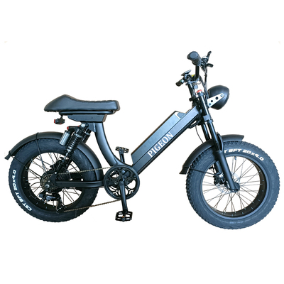 FP-EB2152 ( Long seat 48V 750W 1000W Electric fat Bike)