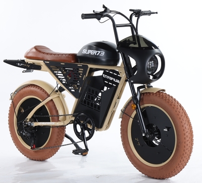 FP-EB2207 (Popular Super 73 Electric Motor Cycle Pedelec)