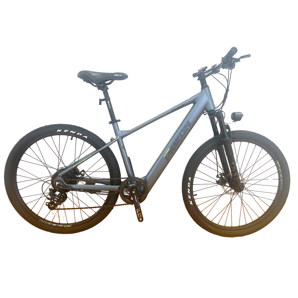 Flying pigeon best sale mountain bike