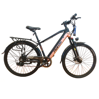 FP-EB2200 (28 inch Electric Pedelec City E-bike)