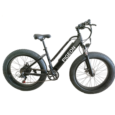 FP-EB2137 &nbsp;(electric bike 350W)