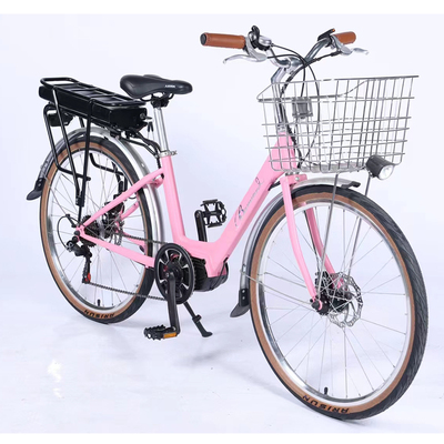 FP-EB2144 (Central motor E-bike with 700C*35C tire)