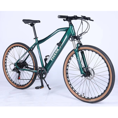 FP-EB2141 (26 inch electric bike)