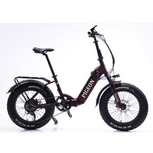 FP-EB2155 ( 48V 350W Electric bike foldable moped bicycle fat tire)