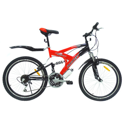 MTB-FP073 (18 speed gear 24"/26" steel suspension mountain bike)