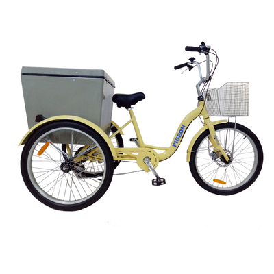 FP-TRK820 &nbsp;(24" alloy trike with Storage box )