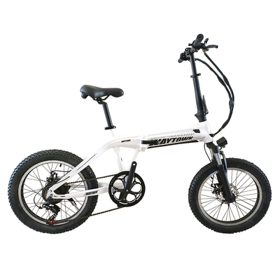 FP-EB2138 (foldable electric bike 250W)