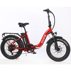 FP-EB2153 ( 48V 500W Electric bike foldable pedelec)