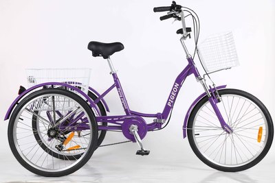 FP-TRK818 &nbsp;(24" foldable trike)